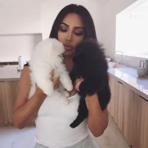 Kim Kardashian Shares Adorable Photos of New Pomeranian Puppies