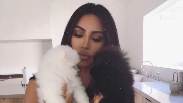 Kim Kardashian Shares Adorable Photos of New Pomeranian Puppies