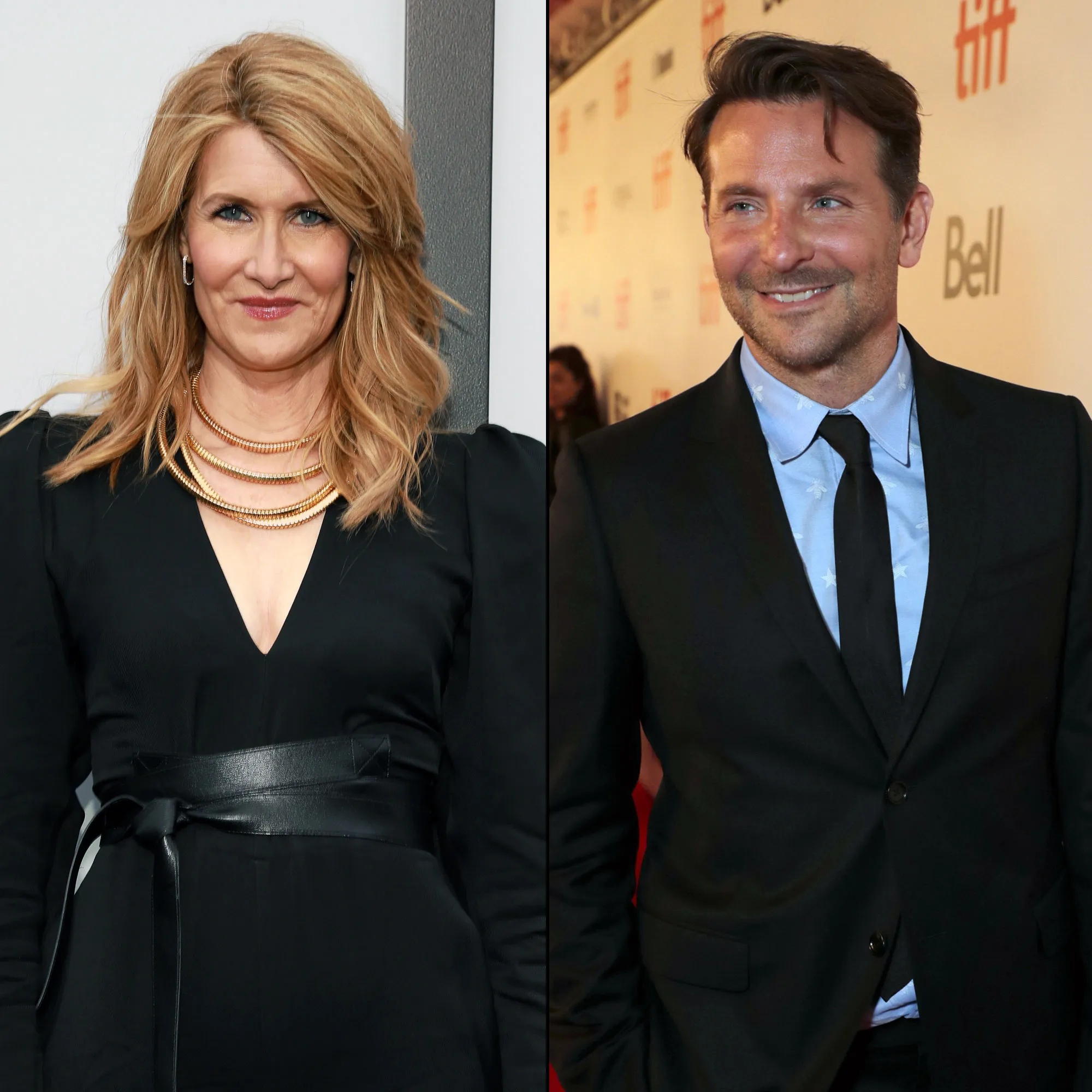 Laura Dern Dismisses Bradley Cooper Dating Rumors
