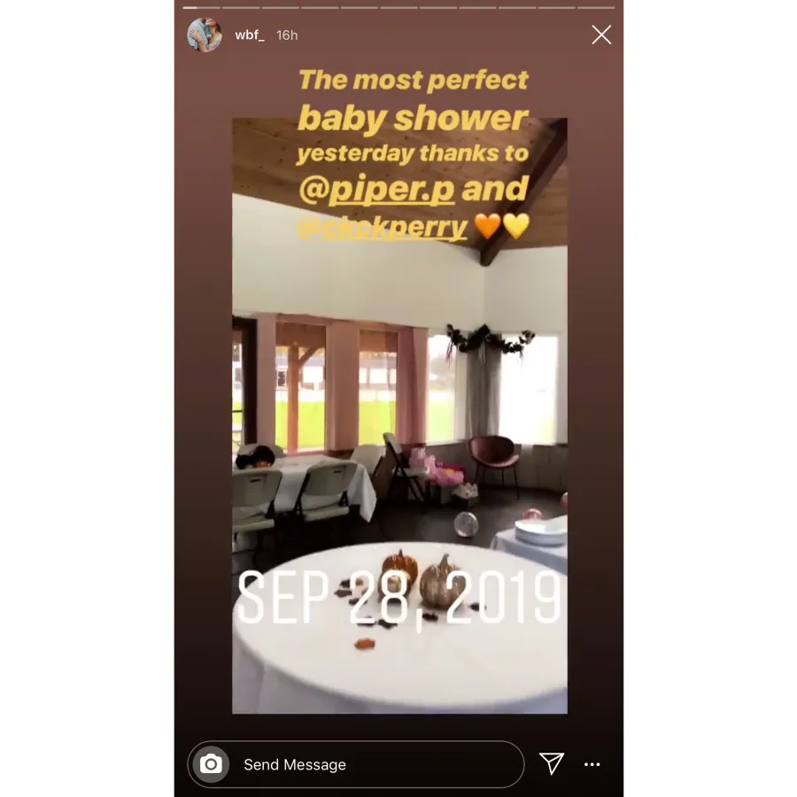 Pregnant Willow Palin Celebrates Baby Shower Ahead of Twins Birth