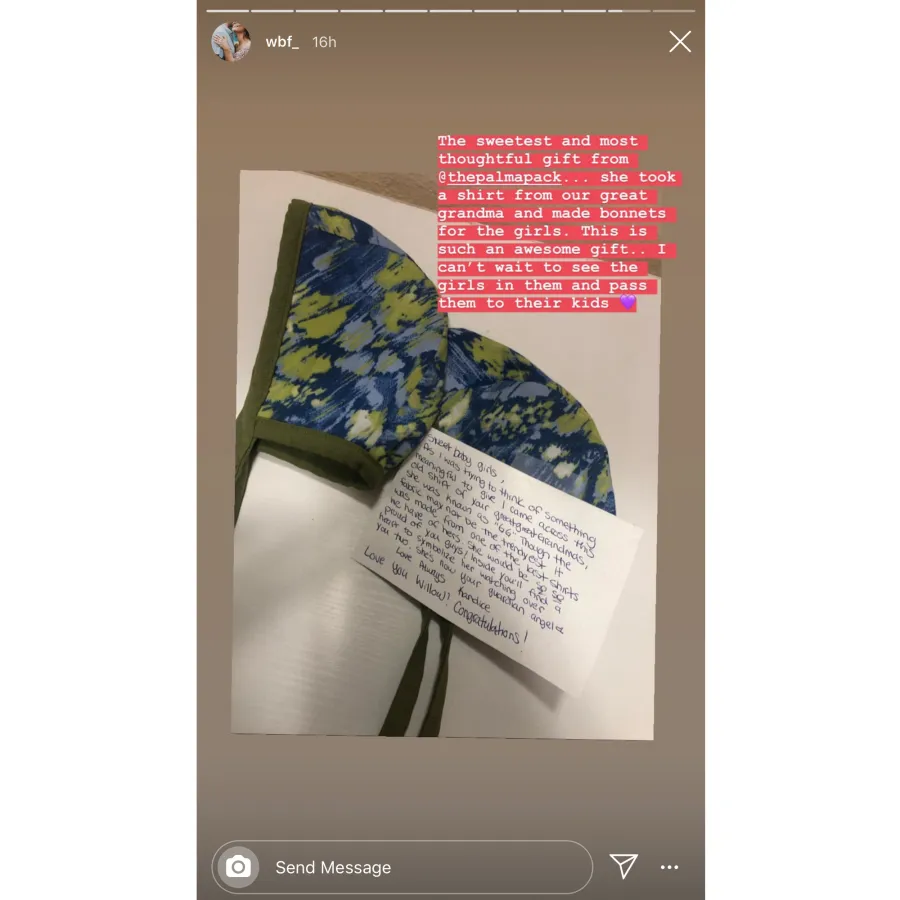 Pregnant Willow Palin Celebrates Baby Shower Ahead of Twins Birth