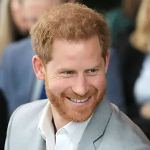 Prince Harry Travalyst Press Release Can Be Planted
