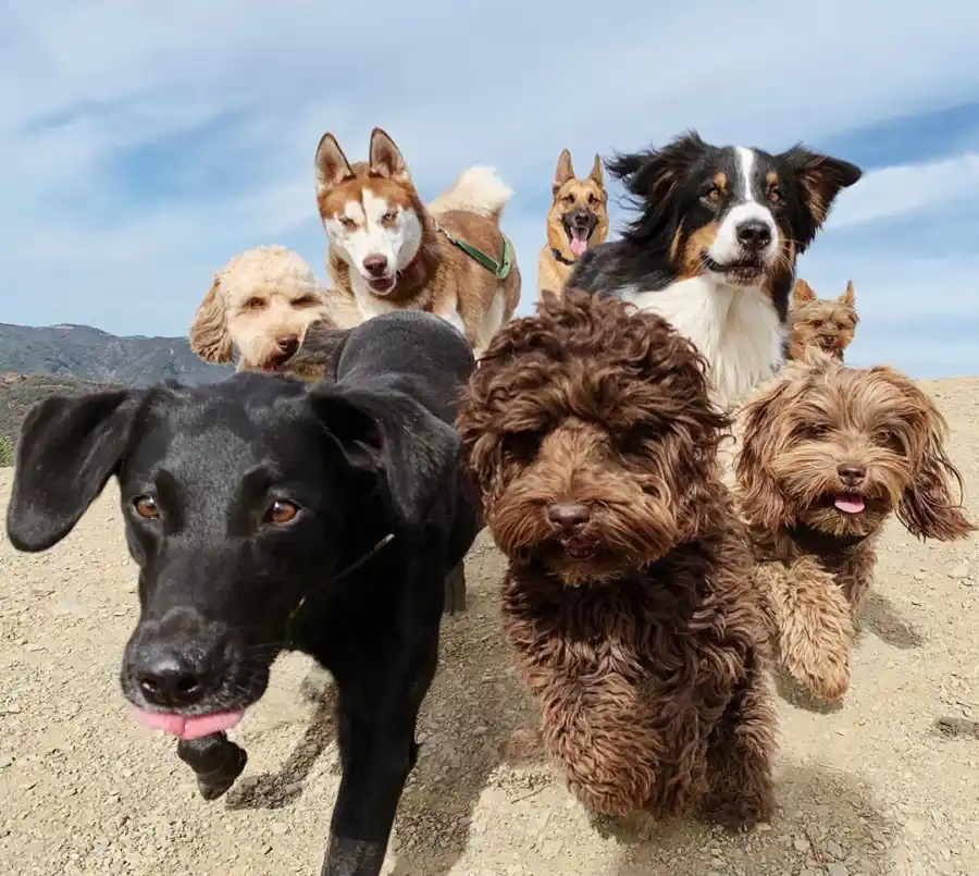 Ryan Seacrest Hints He and Shayna Taylor Back Together