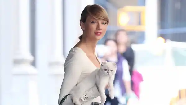 Taylor Swift With White Cat Olivia