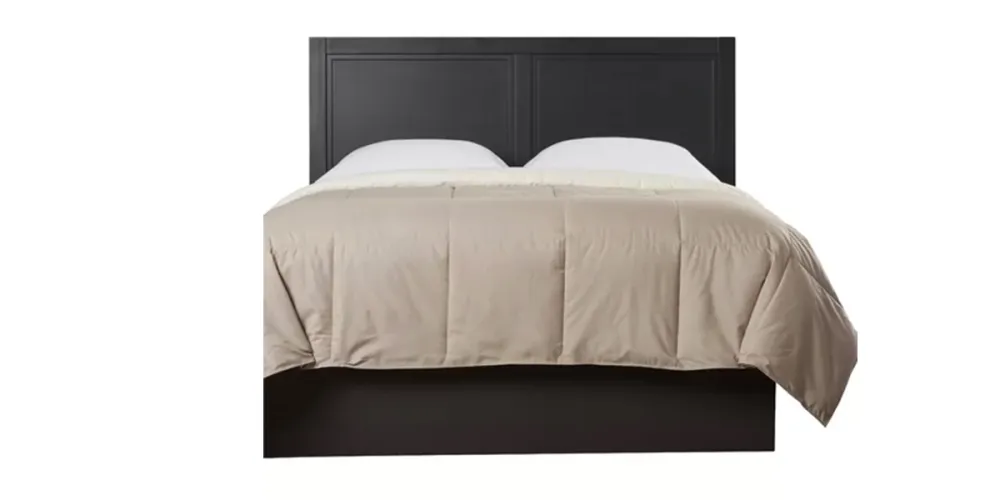 Alwyn-Reversible-Converter