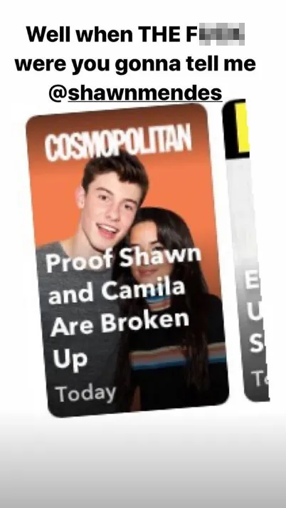 Camila Cabello Denies Rumors She and Shawn Mendes Have Broken Up In a Joking Instagram Post