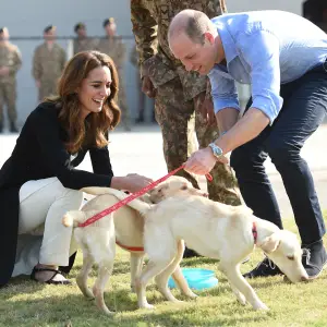 Duchess Kate Prince William Play With Pups on Last Day in Pakistan