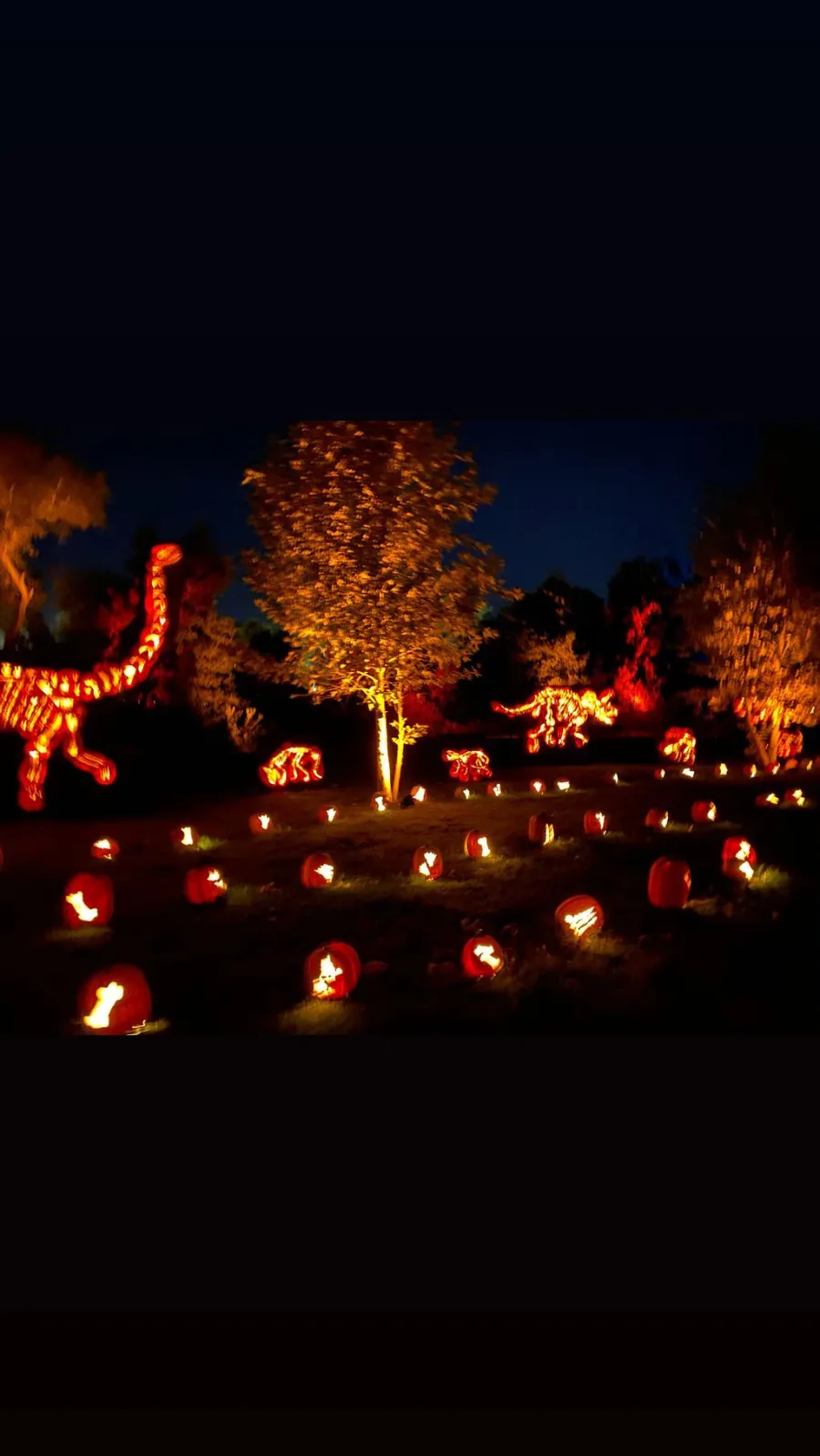 Kanye West and Kim Kardashian Nights of the Jack Fall Family Fun Gallery Halloween Carved Pumpkin