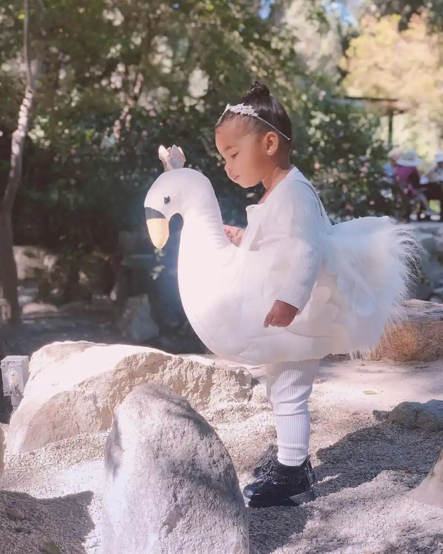 Kardashian and Jenner Kids Rocking Amazing Halloween Costumes