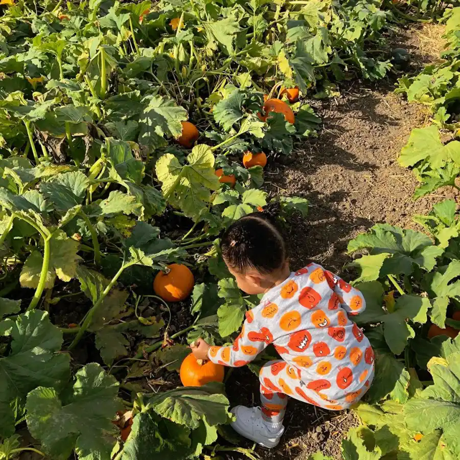 Kylie Jenner, Stormi, True at Pumpkin Patch Fall Farm