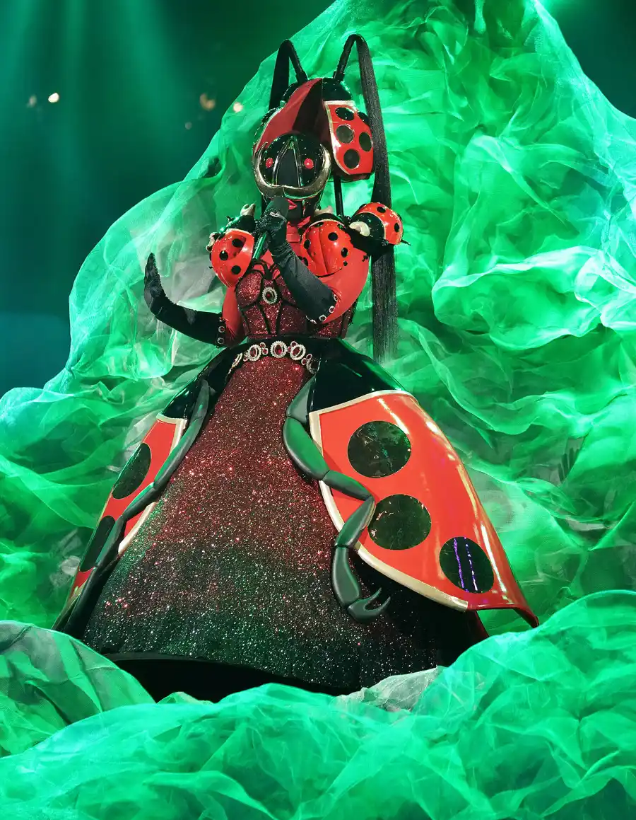 Ladybug Masked Singer Season 2 Two Costume Dress Up Singing Onstage