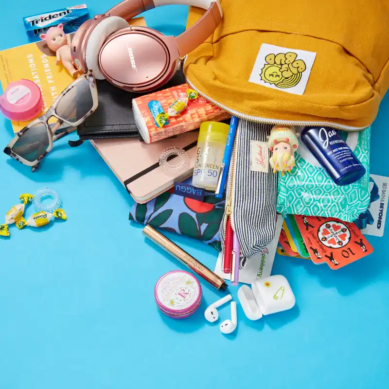 Lauren Lapkus: What's in My Bag?