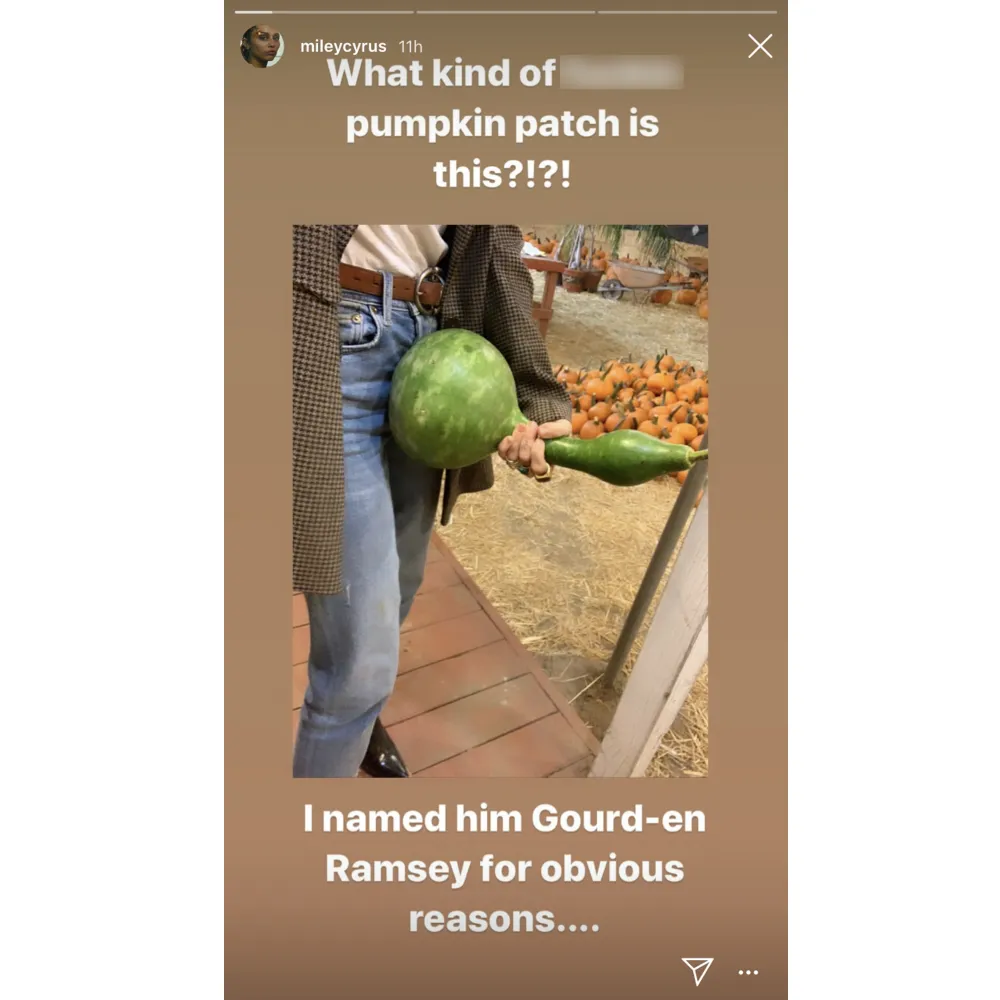 Miley Cyrus Jokingly Poses With Phallic Vegetable