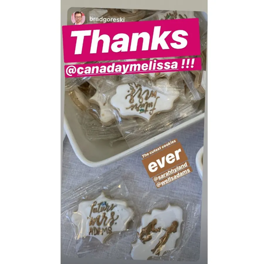 Sarah Hyland and Wells Adams Engagement Party