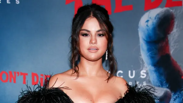 Selena Gomez sweater