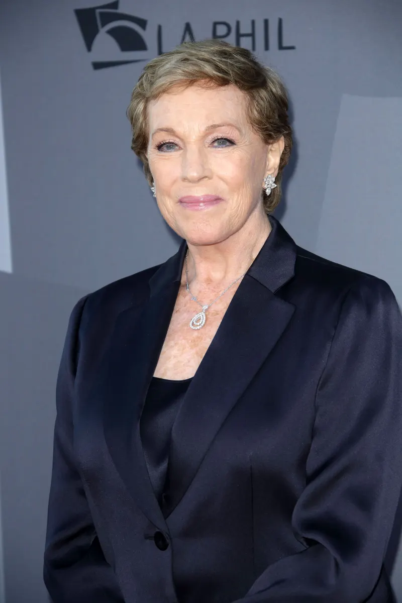 Julie Andrews Stars Who've Battled Mental Health Issues