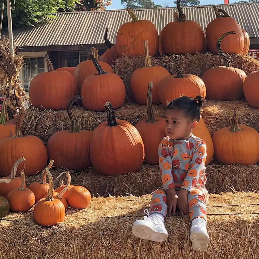 Stormi Webster's Best Fashion Moments