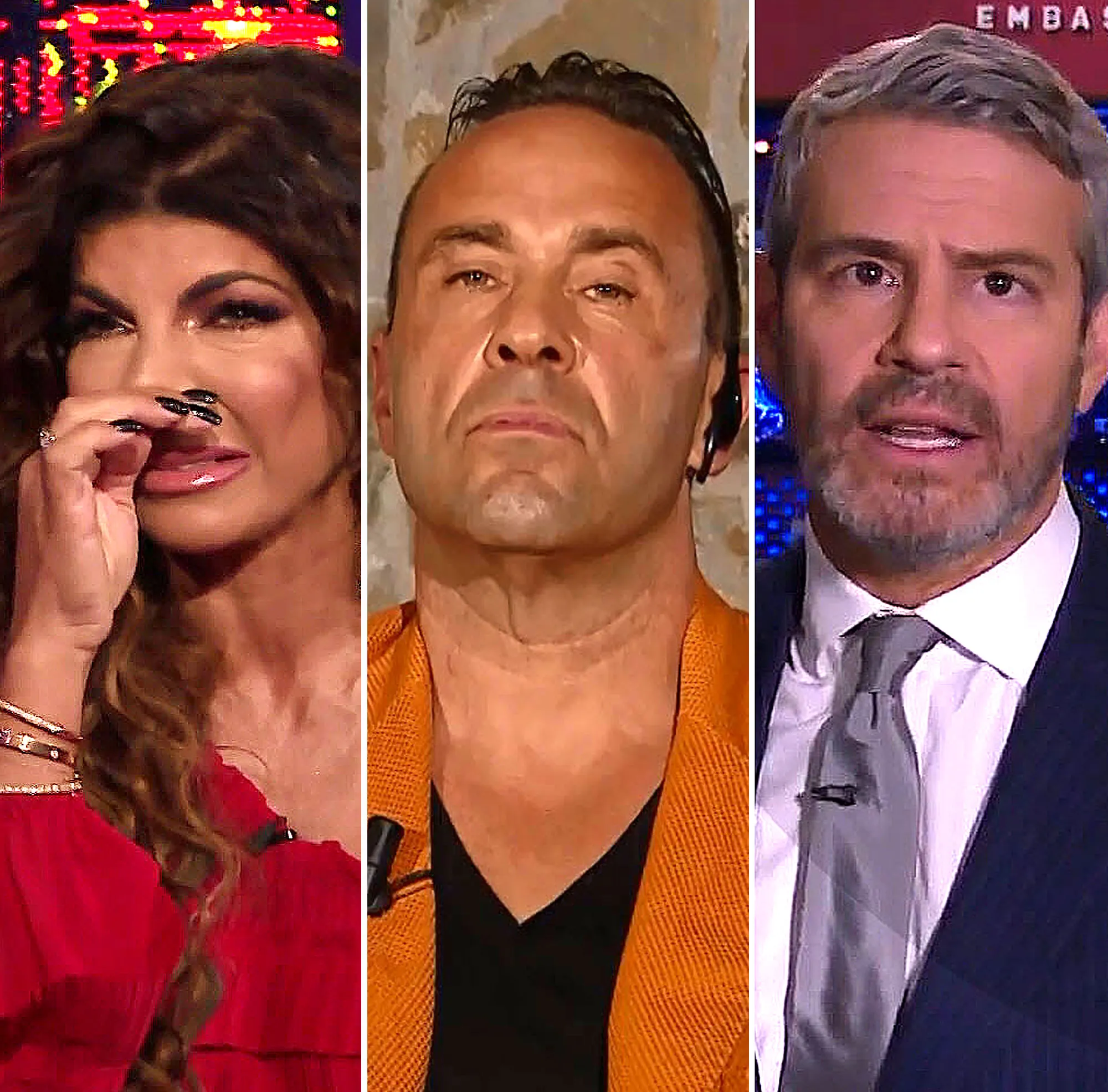 Teresa Giudice Joe Giudice Unlocked Andy Cohen One on One Bravo