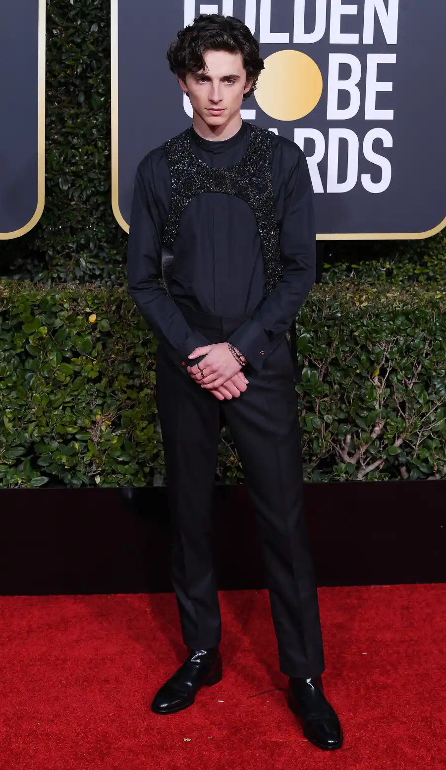 Timothee Chalamet Best Red Carpet Moments