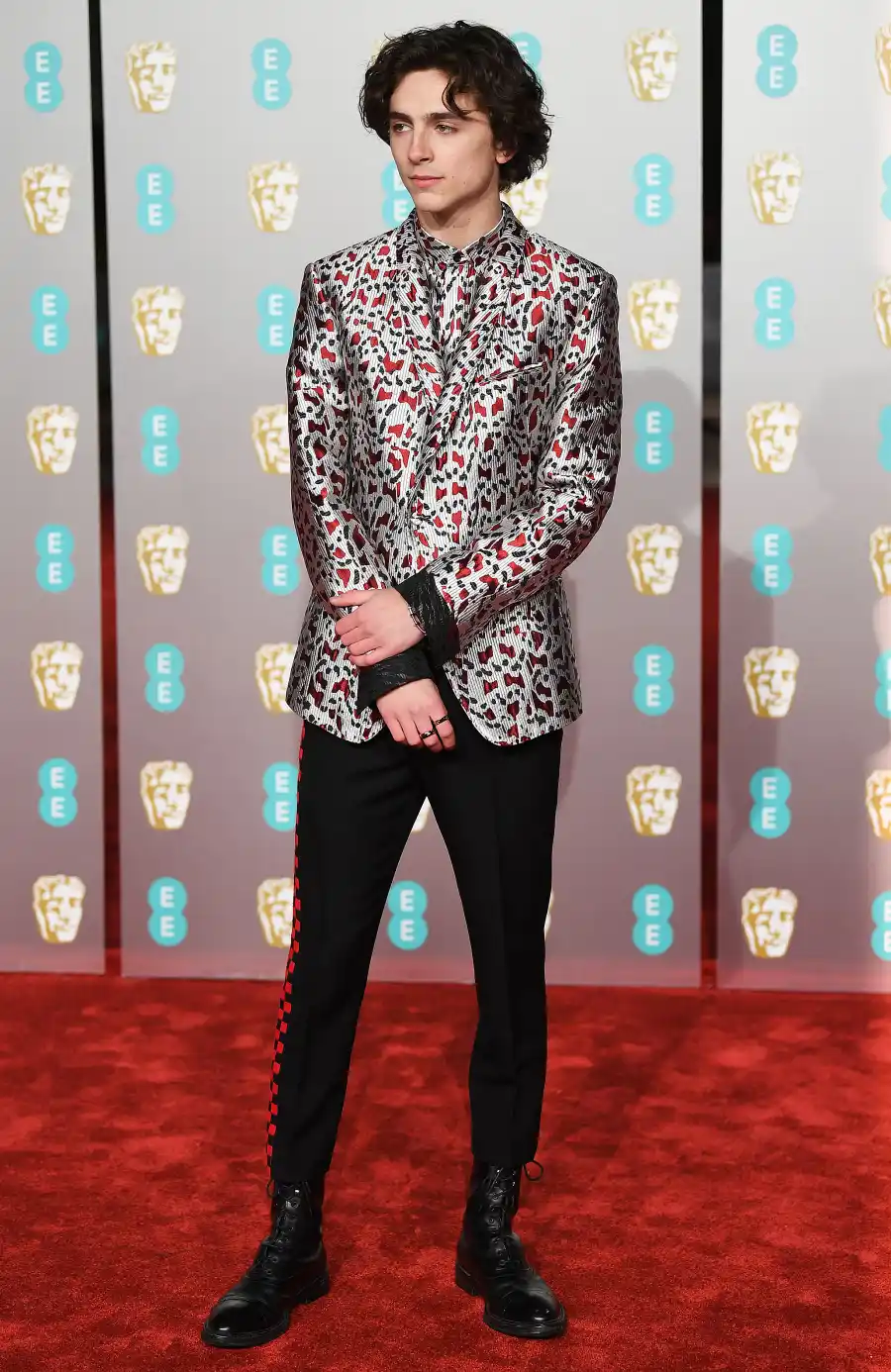 Timothee Chalamet Best Red Carpet Moments