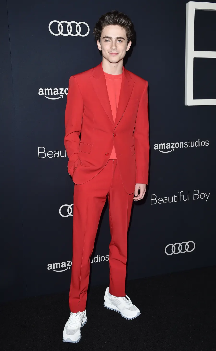 Timothee Chalamet Best Red Carpet Moments