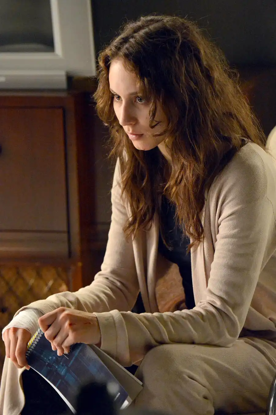 Troian Bellisario Pretty Little Liars TV Stars Who Played High School Students Well After Graduation