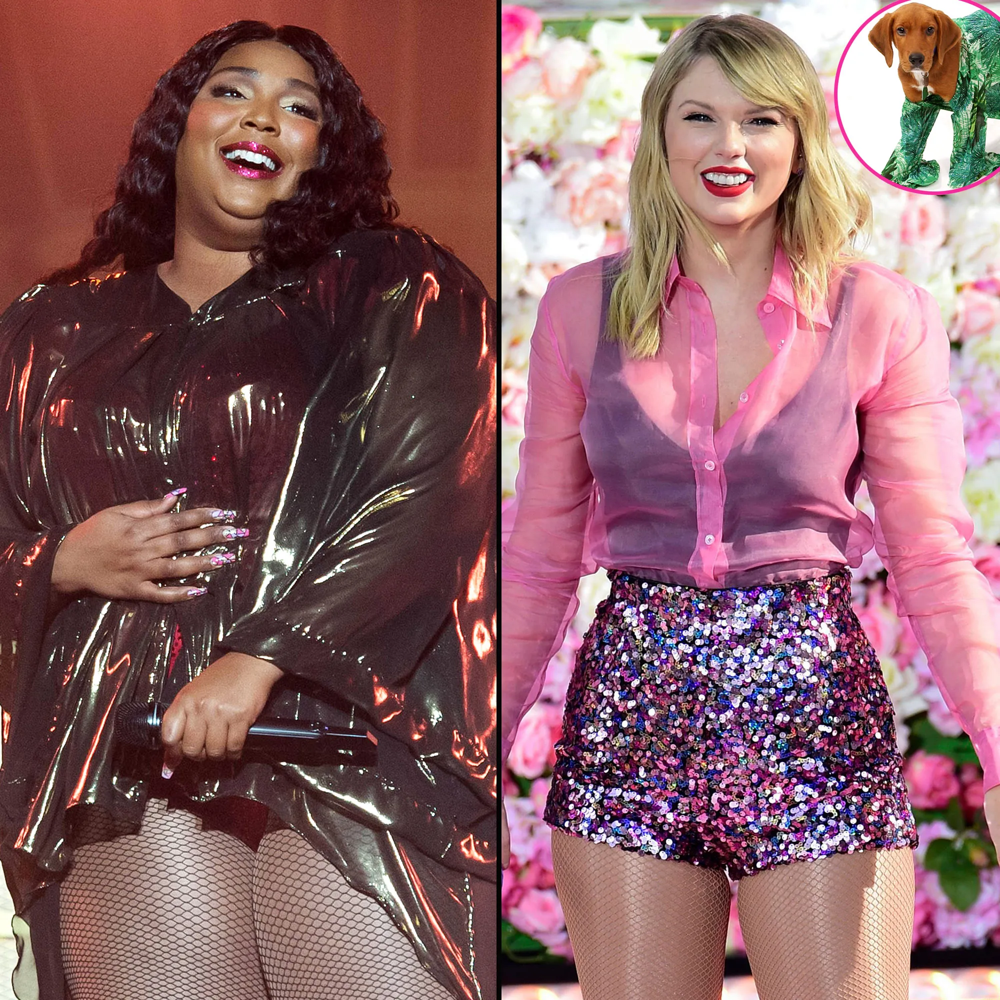 Watch Dogs Dress Up for Halloween as Favorite Female Stars