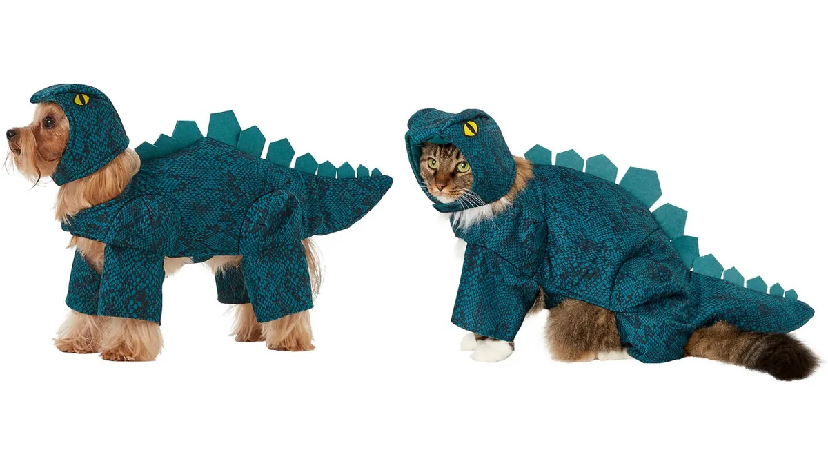 cat dog halloween costumes
