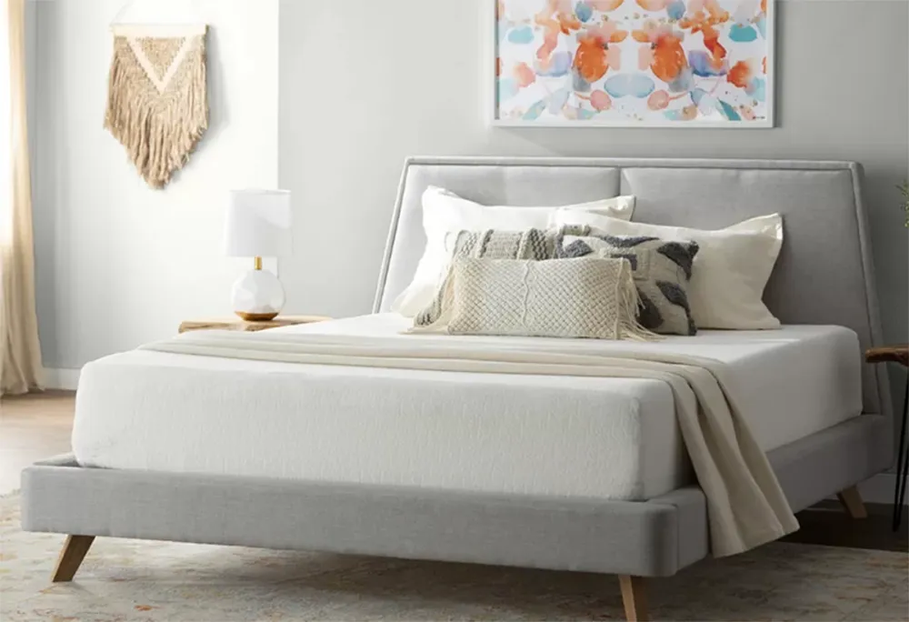 Wayfair Sleep Memory Foam Mattress