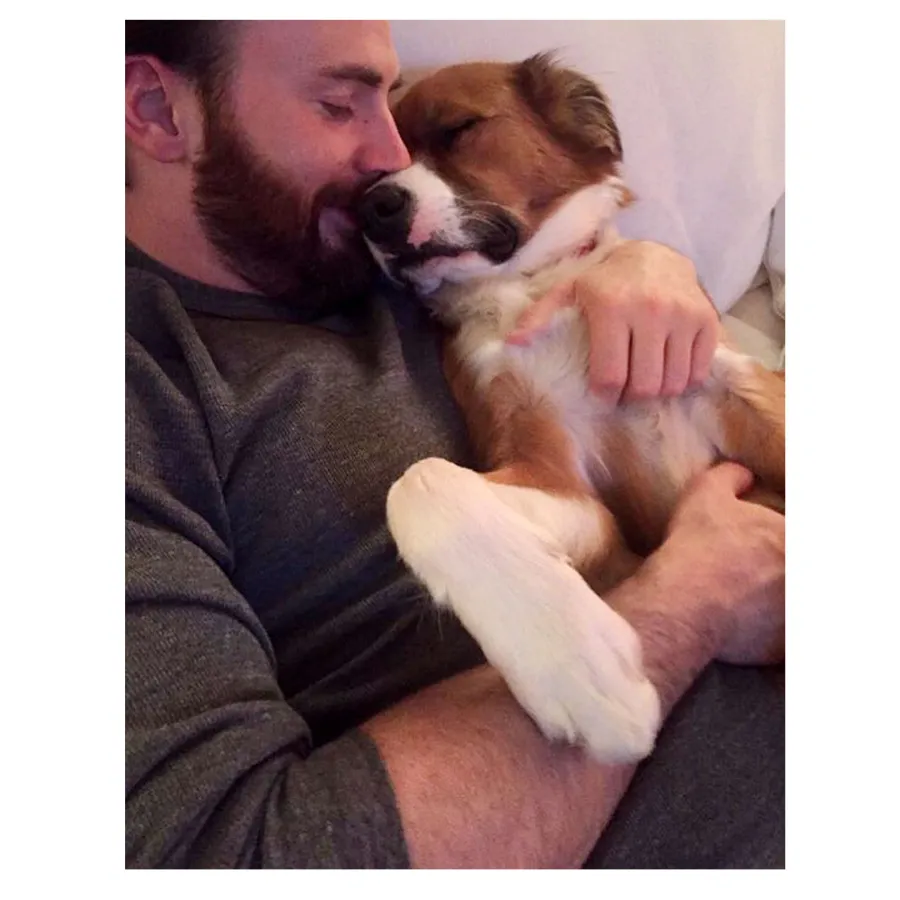 Chris Evans His Dog Dodger See Their Pawsome Friendship