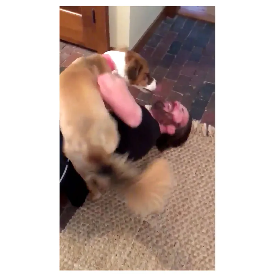 Chris Evans His Dog Dodger See Their Pawsome Friendship