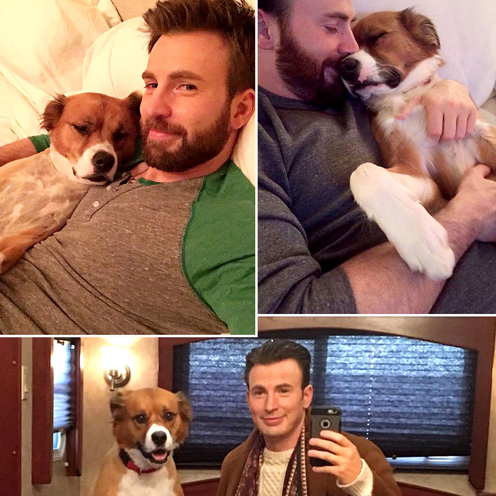 Chris Evans His Dog Dodger See Their Pawsome Friendship