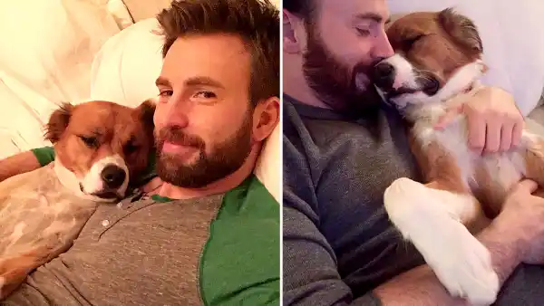 Chris Evans His Dog Dodger See Their Pawsome Friendship