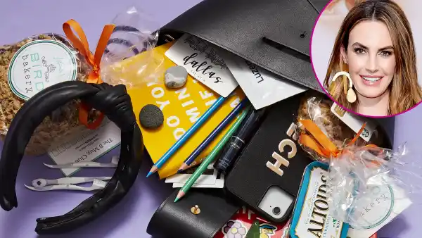 Elizabeth Chambers Hammer bag 2