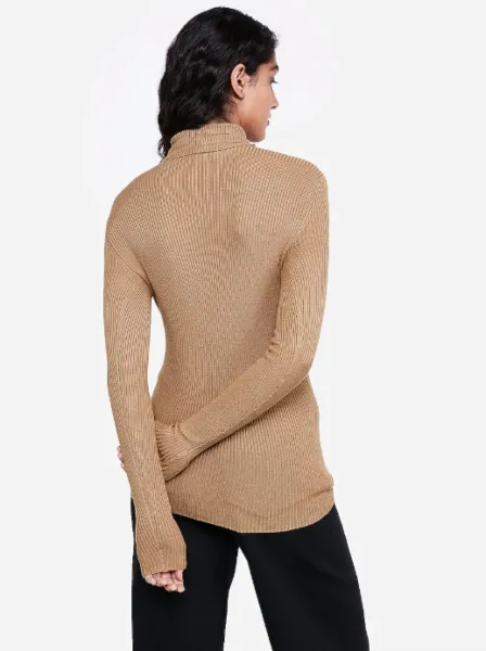 Express Ribbed Turtleneck Sweater