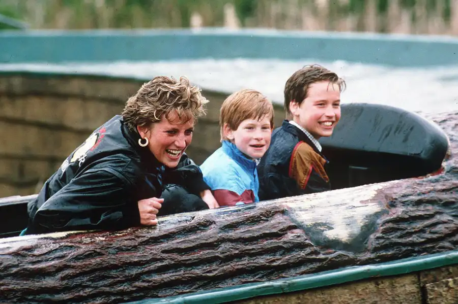 Inside Prince William and Prince Harry Relationship Over the Years