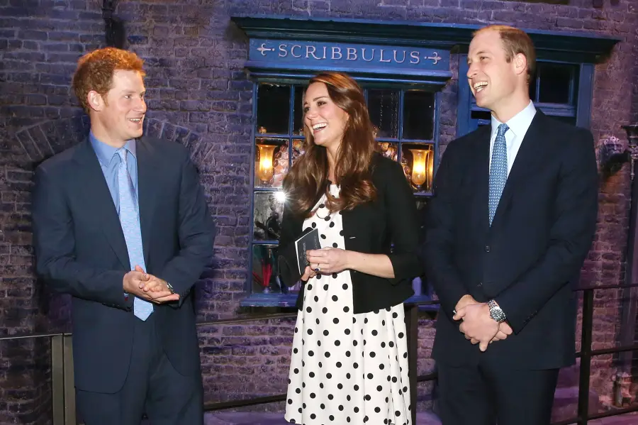 Inside Prince William and Prince Harry Relationship Over the Years