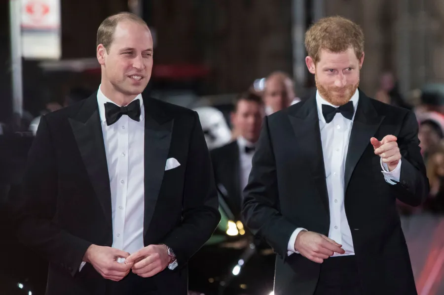 Inside Prince William and Prince Harry Relationship Over the Years