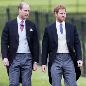 Inside Prince William and Prince Harry Relationship Over the Years