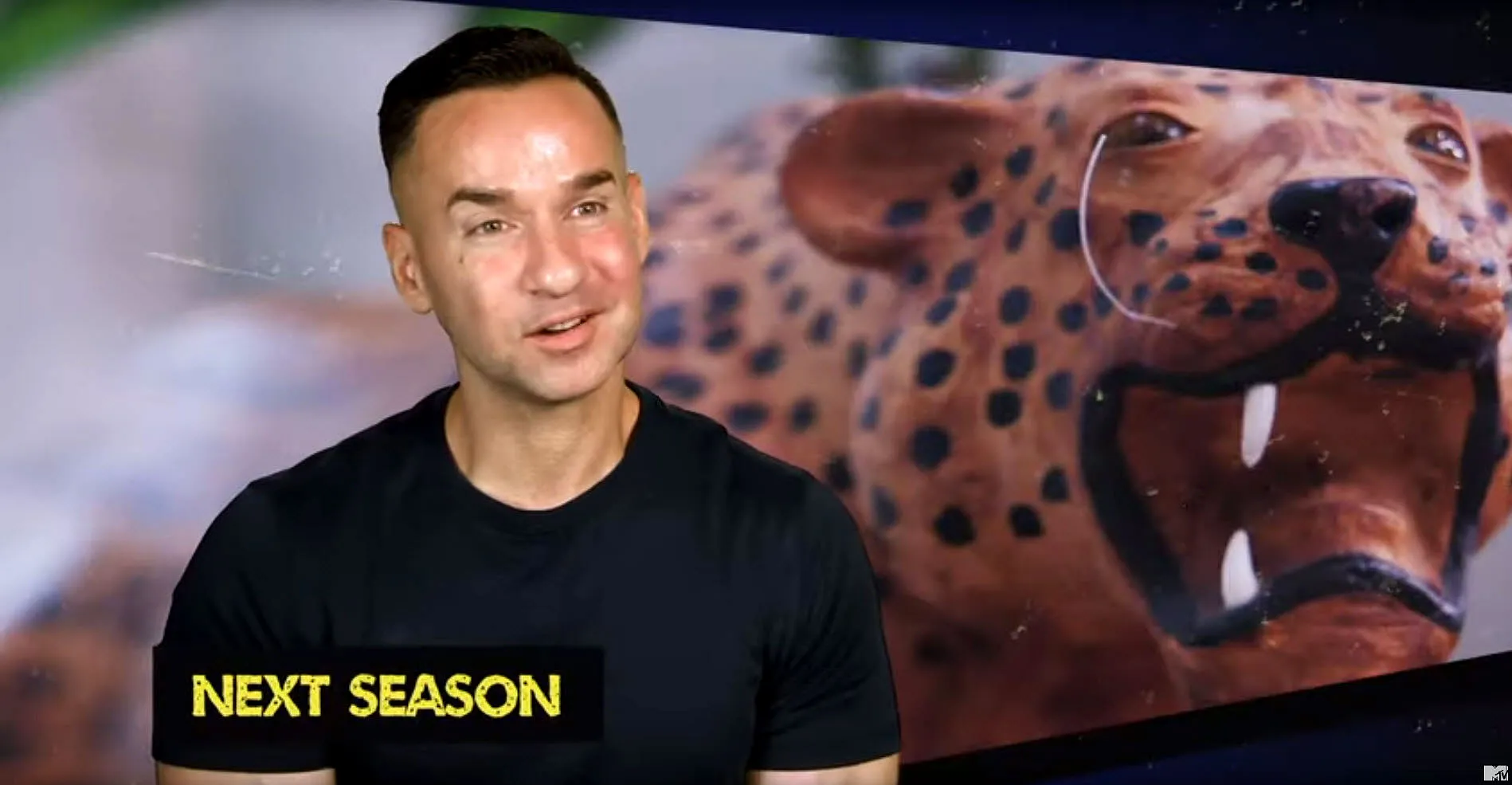 Jersey Shore next season preview