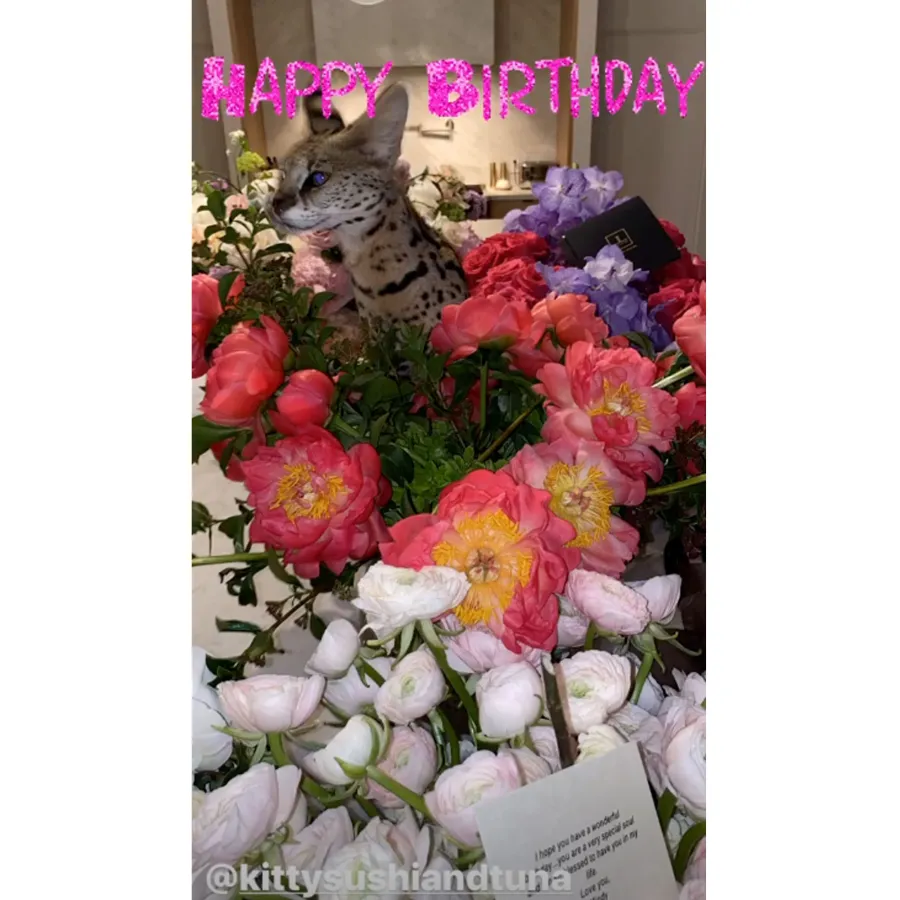 Justin Bieber and Hailey Baldwin Celebrate Her Birthday With Intimate Dinner