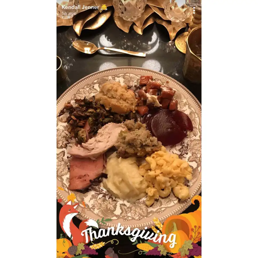 Kendall Jenner Thanskgiving 2017
