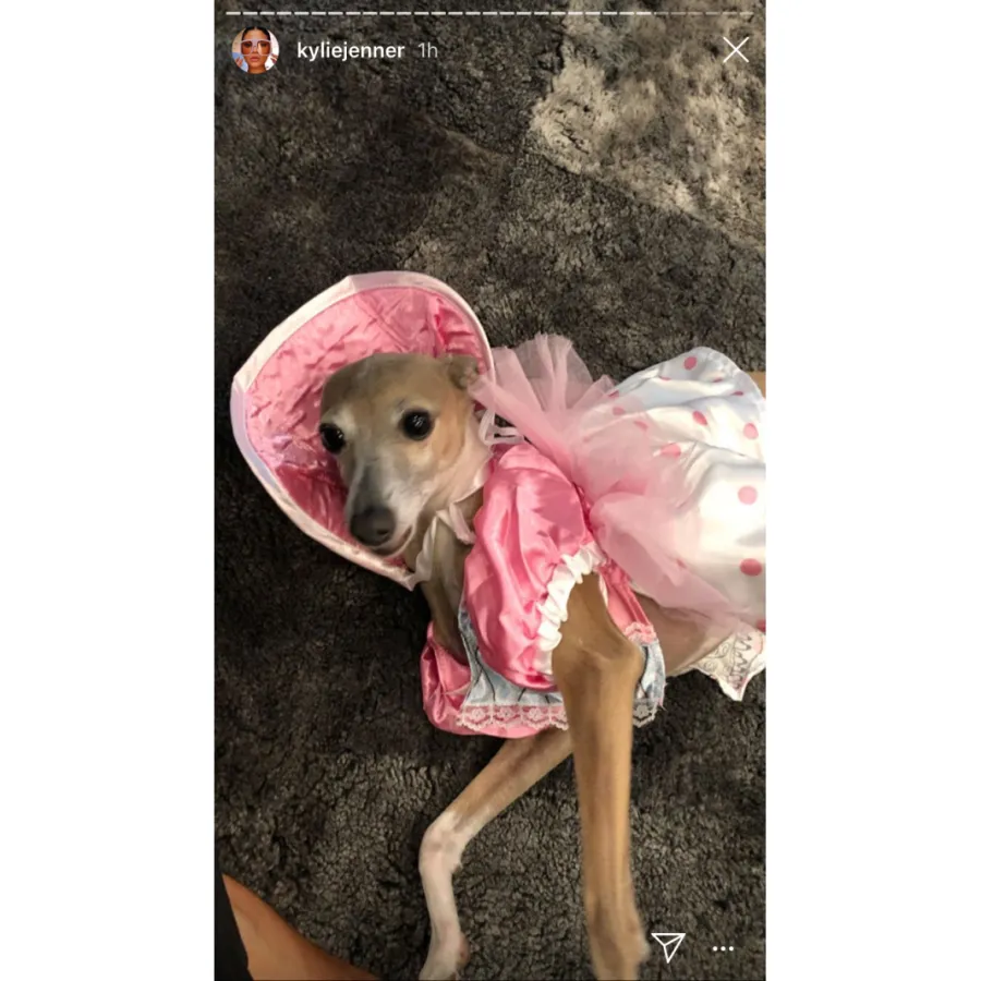 Kylie-Jenner-Bambi-Halloween-costume