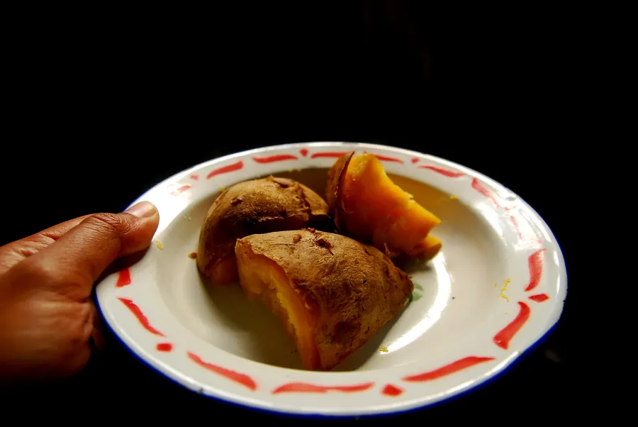 The Most Popular Thanksgiving Food in Every State