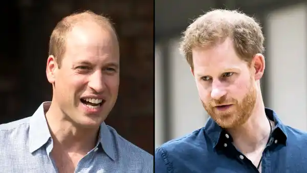 Princes William Harry Need to Put in the Effort Rebuild Their Relationship