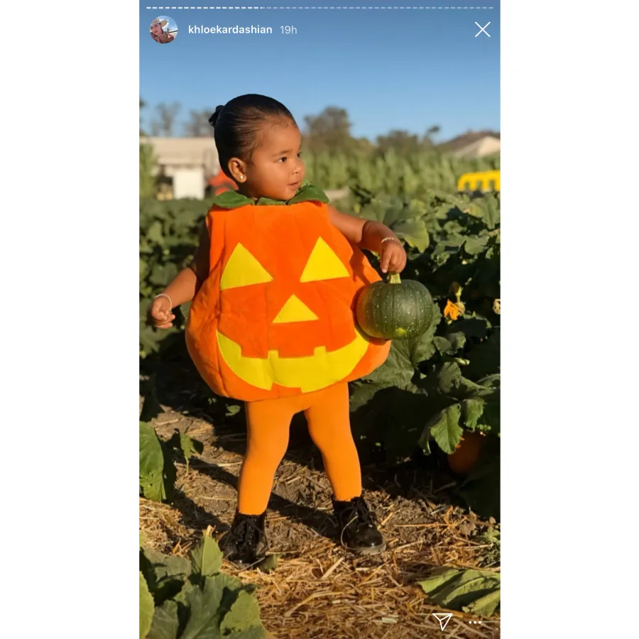 Pumpkin Patch True Thompson