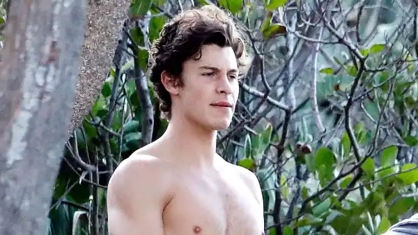 Shawn Mendes Goes Shirtless Australia Beach With Friends