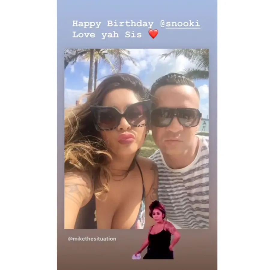Snooki's 'Jersey Shore' Castmates Wish Her a Happy 32nd Birthday