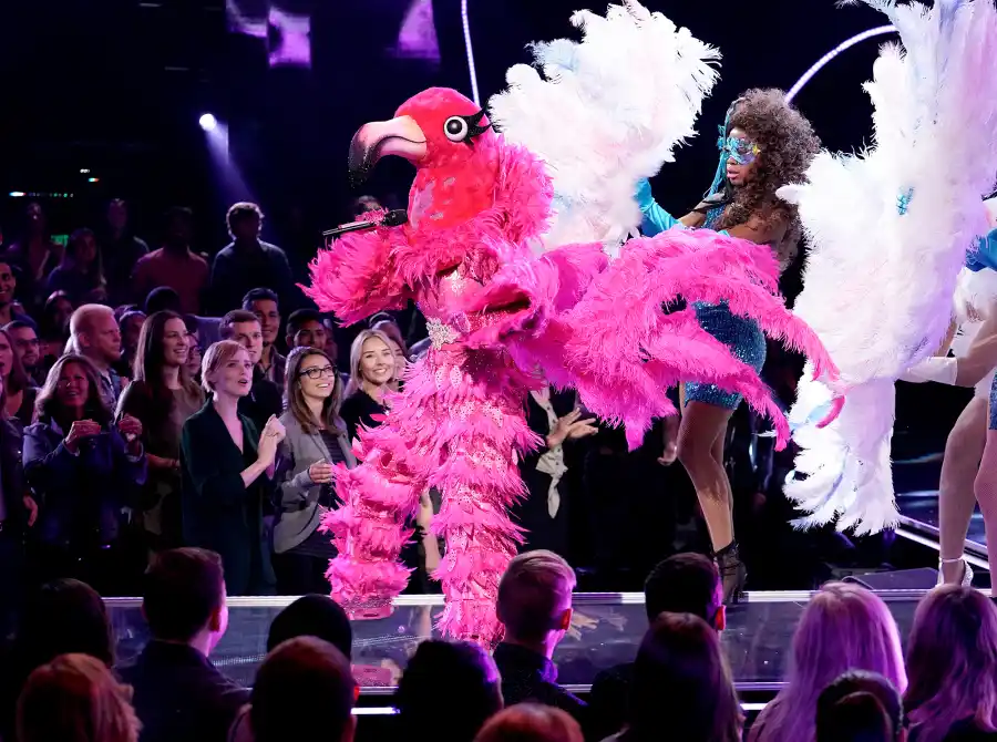 The-Masked-Singer-flamingo