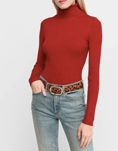 Express Ribbed Turtleneck Sweater